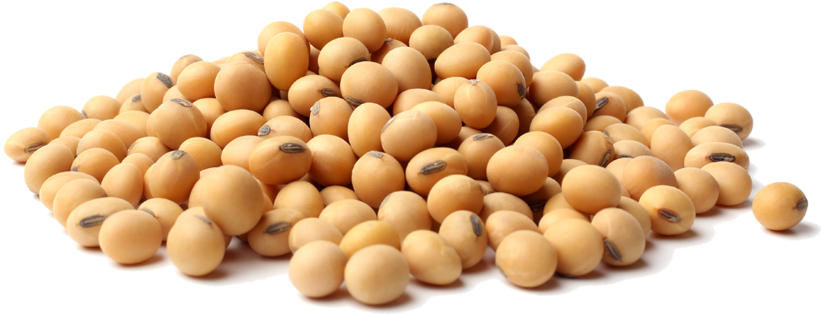 Soya beans